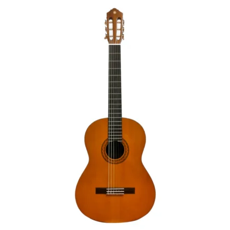 Guitarra Acústica Yamaha C-40